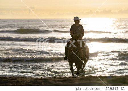 Horse Sea Coast Sunset-9 119813481