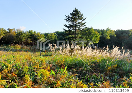 Hokkaido Travelogue: Shiretoko Nature Center Observatory and Furepe Falls Hokkaido Travelogue: Shiretoko Nature Center Observatory and Furepe Falls 119813499