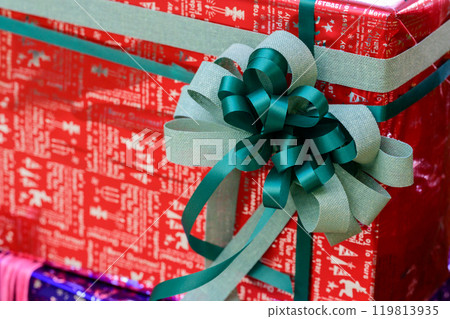 Christmas present (Toyohira Park Green Center)_1760 Christmas present (Toyohira Park Green Center)_1760 119813935