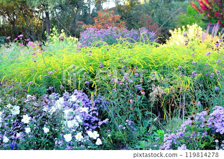 北海道遊記 九月下旬的上野農場 第1篇 紅葉的上野農場 119814278