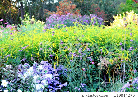 北海道遊記 九月下旬的上野農場 第1篇 紅葉的上野農場 119814279