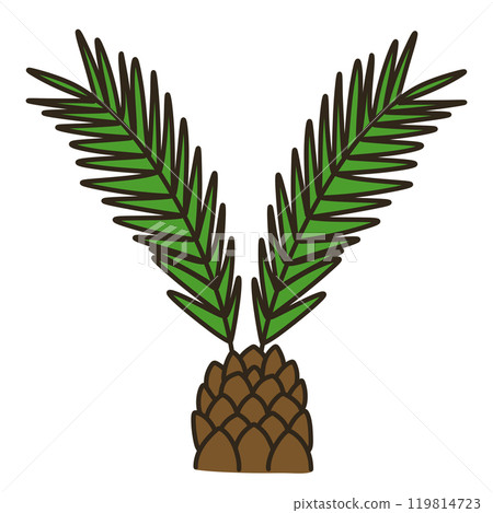 蘇鐵 蘇鐵 119814723