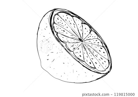 Illustration, outline of a lemon isolate. Lemon line icons set illustration. Hand drawn outline whole citrus with peel and natural Illustration, outline of a lemon isolate. Lemon line icons set illustration. Hand drawn outline whole citrus with peel and natural 119815000