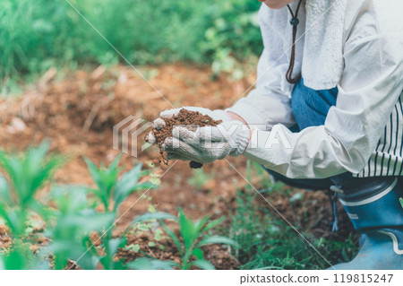 農民看著土壤 119815247