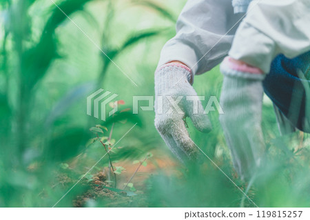 在農場工作或除草時戴著工作手套的婦女的手 119815257