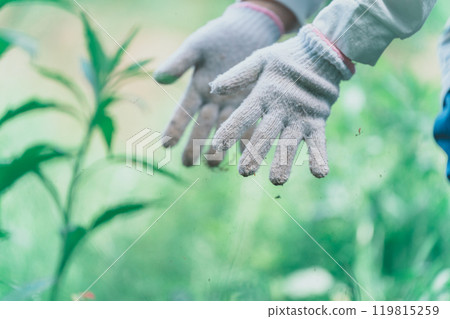 一個場景，一名婦女在農場工作或除草時戴著工作手套，清除工作手套上的污垢。 119815259