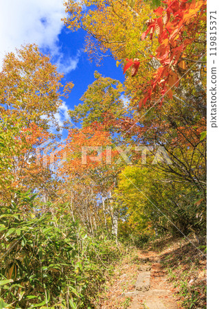 秋天的尾瀨，草地上的秋葉和森林裡的秋葉，Hiburi森林之路 119815371
