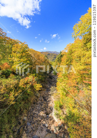 Autumn in Oze: Autumn leaves of grass and forest, Hiuchiura forest trail 119815397
