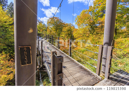 Autumn in Oze: Autumn leaves of grass and forest, Hiuchiura forest trail 119815398