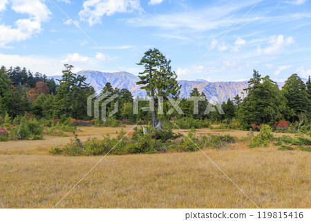 秋天的尾瀨，草地上的秋葉和森林裡的秋葉，Hiburi森林之路 119815416