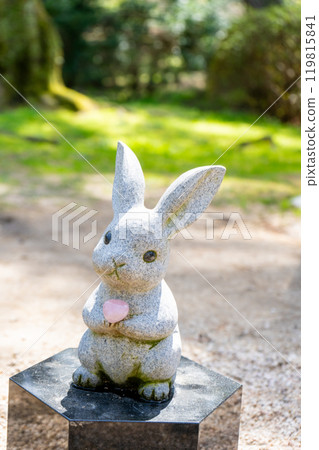 Rabbits at Izumo Taisha Shrine, Izumo City, Shimane Prefecture 119815841