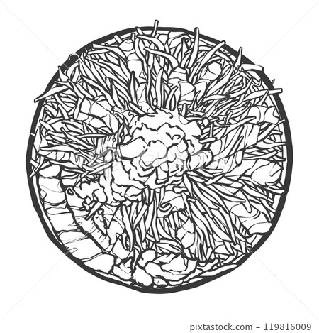 Hand-drawn illustration of a large serving of ramen Hand-drawn illustration of a large serving of ramen 119816009