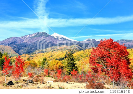 乘鞍高原和乘鞍山的紅葉 119816148