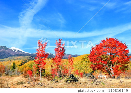 乘鞍高原和乘鞍山的紅葉 119816149