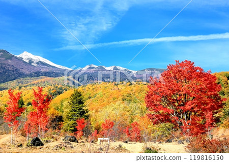 乘鞍高原和乘鞍山的紅葉 119816150