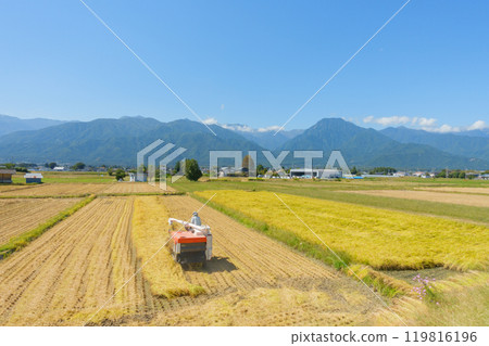 Harvest Autumn [Hodaka, Azumino City] 119816196