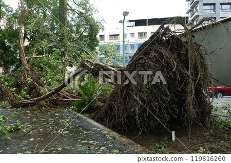 typhoon 119816260
