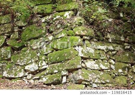 The stone walls of the castle tower surrounding the remains of the main citadel of Azuchi Castle The stone walls of the castle tower surrounding the remains of the main citadel of Azuchi Castle 119816415