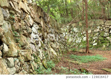 Stone walls surrounding the remains of the main citadel of Azuchi Castle 119816417