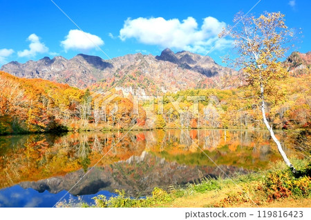 鏡子池塘的秋葉 119816423