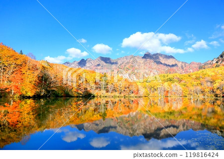 Autumn leaves of the mirror pond 119816424