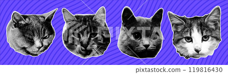 Set of cute cat heads. Retro halftone effect. Y2k collage design. Set of cute cat heads. Retro halftone effect. Y2k collage design. 119816430