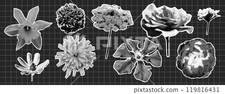 Trendy halftone collage flowers. Rose, meadow flower. Y2K style. Trendy halftone collage flowers. Rose, meadow flower. Y2K style. 119816431