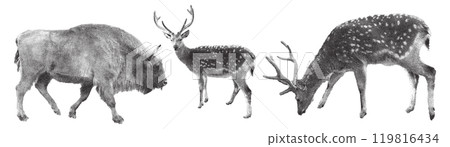 Set of retro photocopy wild animals. Deer, bison. Trendy halftone style for collages. Set of retro photocopy wild animals. Deer, bison. Trendy halftone style for collages. 119816434