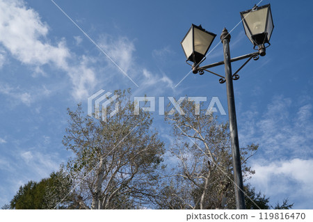 戶外燈和白楊樹 119816470