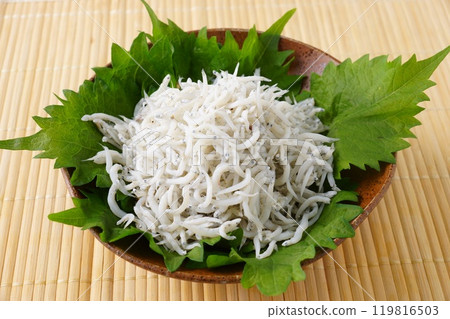 Shiugake炸蝦 119816503