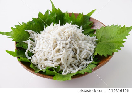 Shiugake fried shrimp 119816506