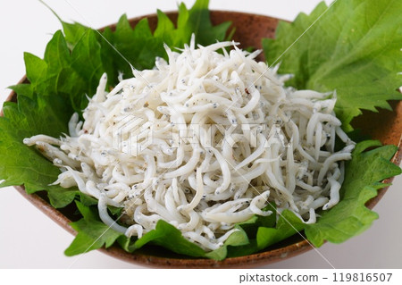 Shiugake fried shrimp Shiugake fried shrimp 119816507