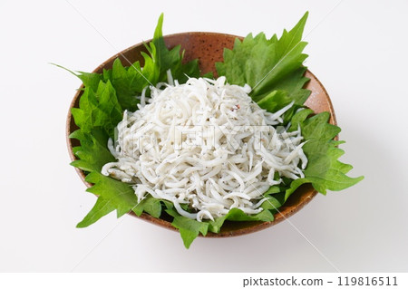 Shiugake fried shrimp 119816511