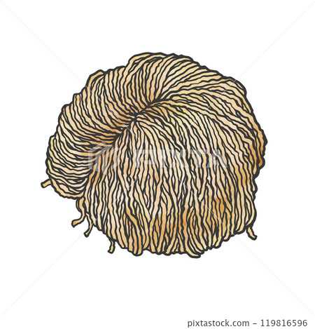 Hand-drawn illustration of thin, curly noodles Hand-drawn illustration of thin, curly noodles 119816596