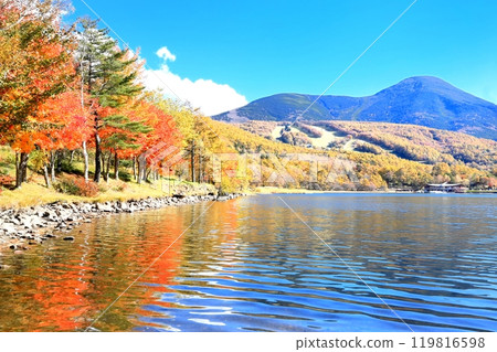 湖女神秋葉 119816598