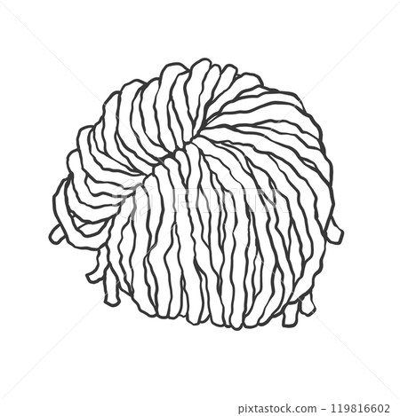 Hand-drawn illustration of thick curly noodles Hand-drawn illustration of thick curly noodles 119816602