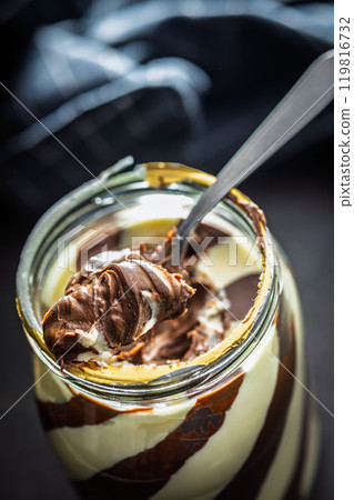 Chocolate cream spread on spoon. Chocolate cream spread on spoon. 119816732