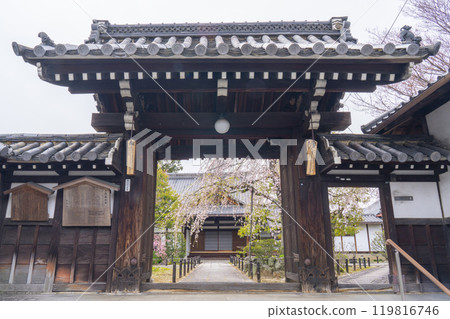 優雅的仁大寺 - 從山門可以看到壯觀的櫻花 優雅的仁大寺 - 從山門可以看到壯觀的櫻花 119816746