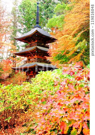 帝城寺的秋葉 119816848