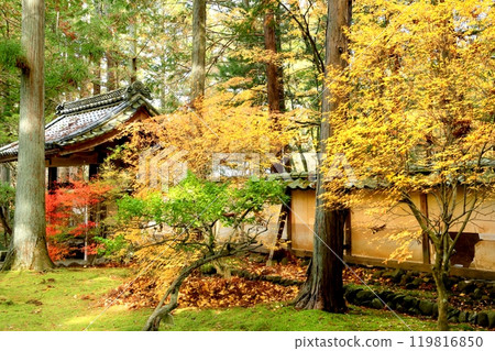 帝城寺的秋葉 119816850