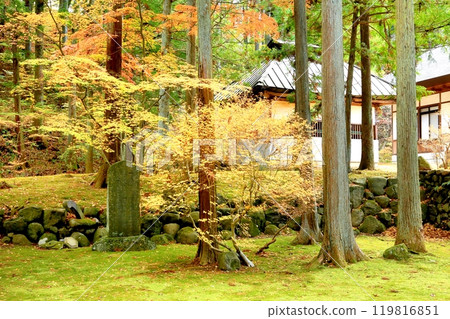 Autumn leaves at Teijoji Temple Autumn leaves at Teijoji Temple 119816851