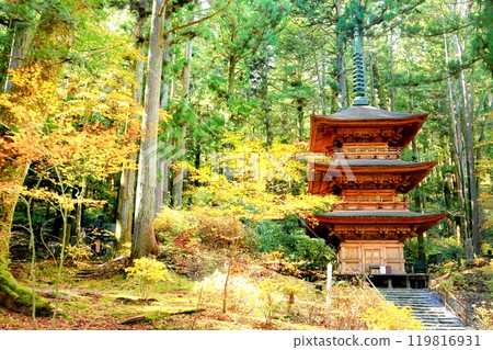光善寺三層塔與秋葉 光善寺三層塔與秋葉 119816931