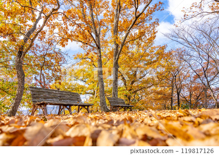 Bentenyama Park, Autumn, Fall Foliage, Fukushima City 119817126
