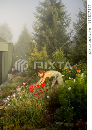 Morning Harvest in the Garden 119817395