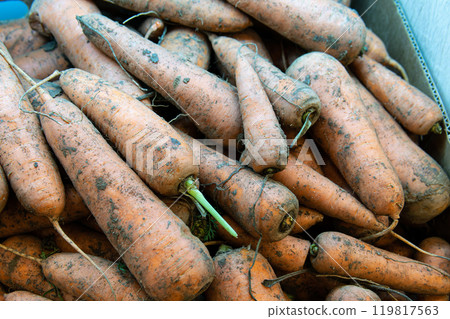 healthy background vegetable agriculture orange nutrition raw food vegetarian carrot fresh harvest healthy background vegetable agriculture orange nutrition raw food vegetarian carrot fresh harvest 119817563