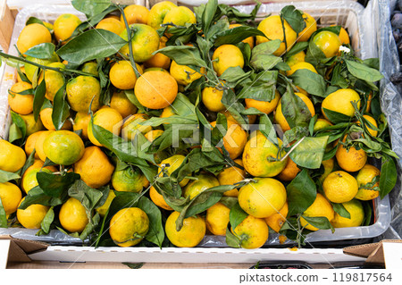 fruit food vegetarian organic ripe juicy raw sweet fresh background healthy citrus market fruit food vegetarian organic ripe juicy raw sweet fresh background healthy citrus market 119817564