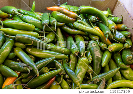 food green vegetarian healthy vegetable fresh ingredient ripe nature plant pepper natural organic food green vegetarian healthy vegetable fresh ingredient ripe nature plant pepper natural organic 119817599