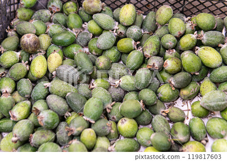 background organic tropical raw food delicious healthy feihua sweet market green nature fruit background organic tropical raw food delicious healthy feihua sweet market green nature fruit 119817603