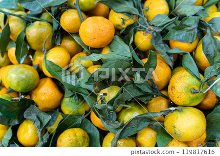 ripe background food juicy raw market sweet citrus vegetarian fruit healthy organic fresh ripe background food juicy raw market sweet citrus vegetarian fruit healthy organic fresh 119817616