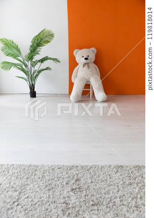 White teddy bear and green plant in the interior of an empty orange and white room 119818014
